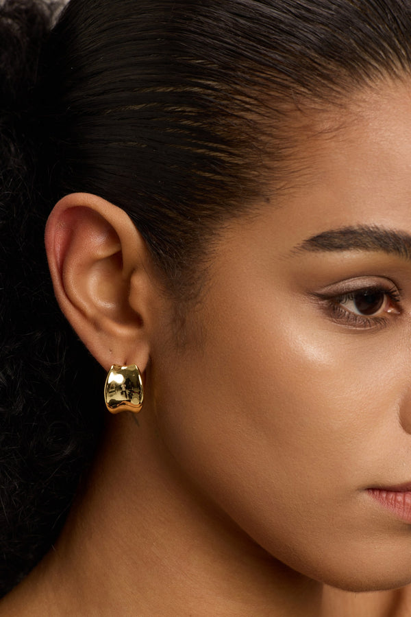 18K Gold Plated Earrings – No. 1008