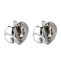 Stainless Steel Earrings – No. 1008